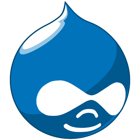 Drupal Services Views